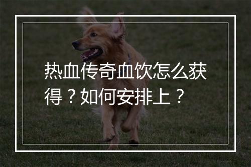 热血传奇血饮怎么获得？如何安排上？