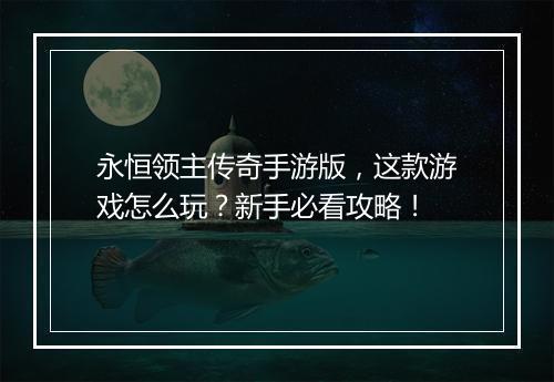 永恒领主传奇手游版，这款游戏怎么玩？新手必看攻略！