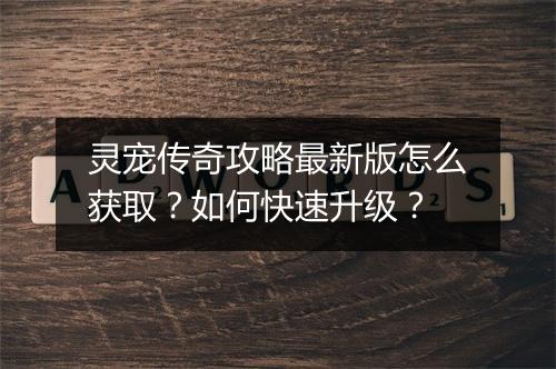 灵宠传奇攻略最新版怎么获取？如何快速升级？
