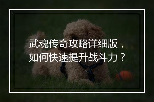 武魂传奇攻略详细版，如何快速提升战斗力？