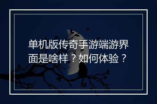 单机版传奇手游端游界面是啥样？如何体验？