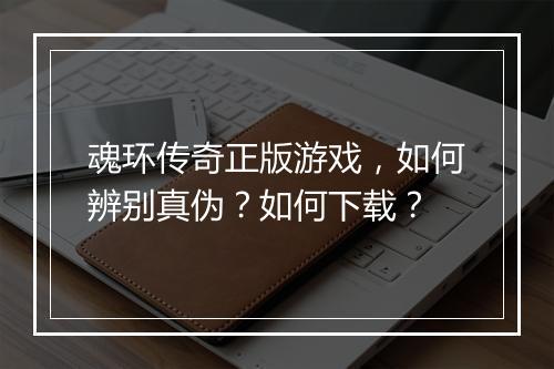 魂环传奇正版游戏，如何辨别真伪？如何下载？