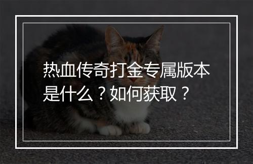 热血传奇打金专属版本是什么？如何获取？