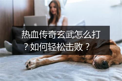 热血传奇玄武怎么打？如何轻松击败？