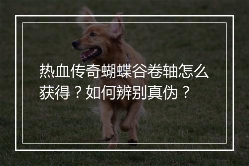 热血传奇蝴蝶谷卷轴怎么获得？如何辨别真伪？
