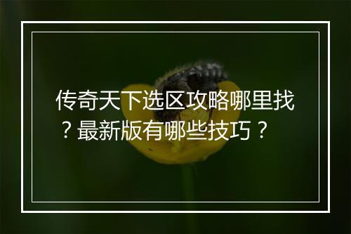 传奇天下选区攻略哪里找？最新版有哪些技巧？
