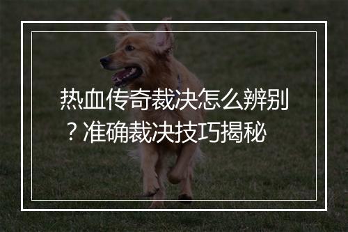 热血传奇裁决怎么辨别？准确裁决技巧揭秘