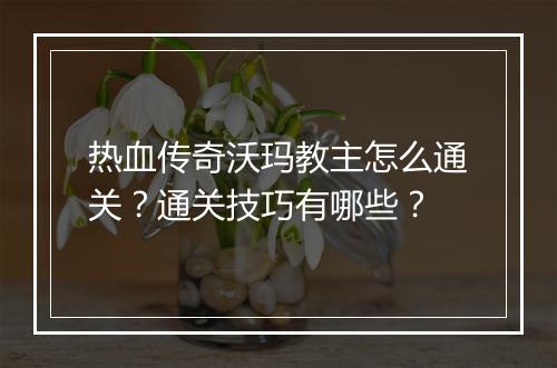 热血传奇沃玛教主怎么通关？通关技巧有哪些？