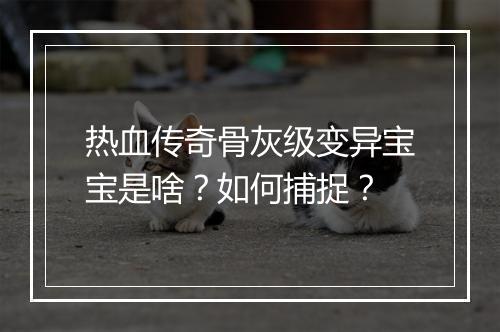 热血传奇骨灰级变异宝宝是啥？如何捕捉？