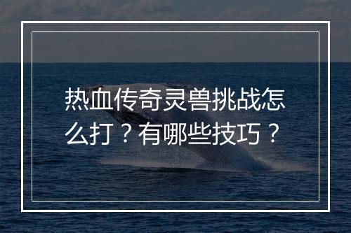 热血传奇灵兽挑战怎么打？有哪些技巧？