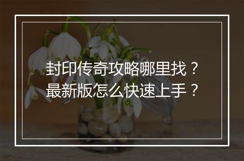封印传奇攻略哪里找？最新版怎么快速上手？