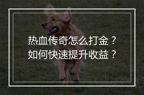 热血传奇怎么打金？如何快速提升收益？
