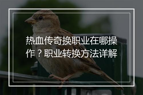热血传奇换职业在哪操作？职业转换方法详解