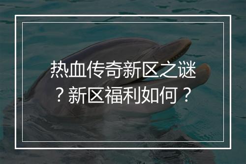 热血传奇新区之谜？新区福利如何？