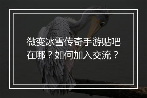 微变冰雪传奇手游贴吧在哪？如何加入交流？