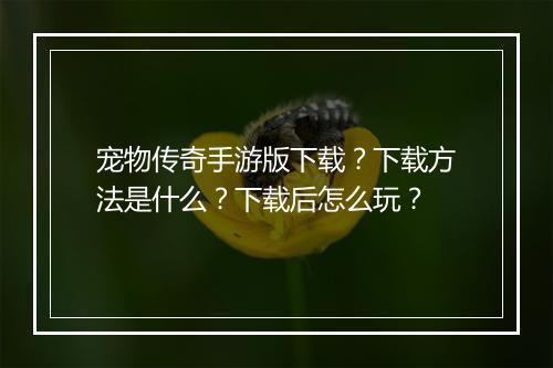 宠物传奇手游版下载？下载方法是什么？下载后怎么玩？