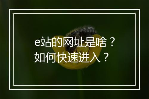 e站的网址是啥？如何快速进入？