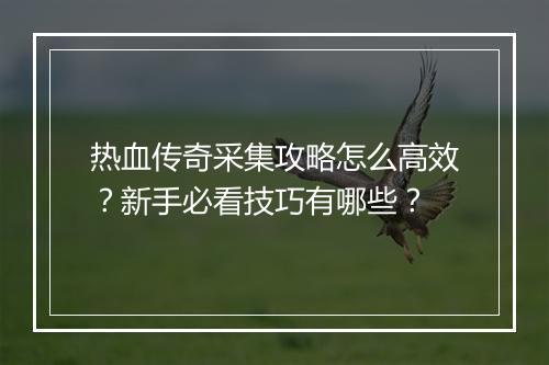 热血传奇采集攻略怎么高效？新手必看技巧有哪些？