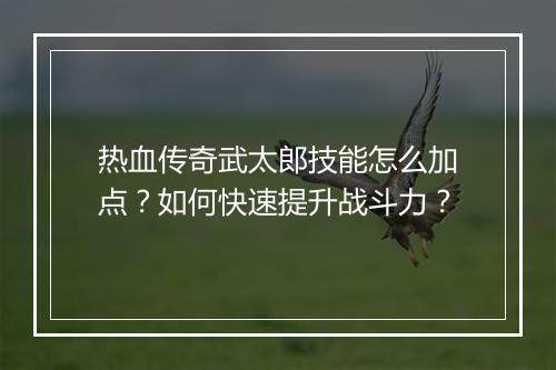 热血传奇武太郎技能怎么加点？如何快速提升战斗力？