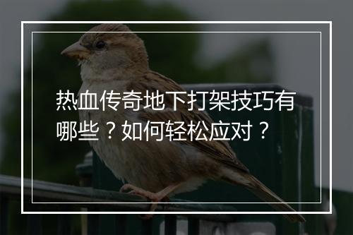 热血传奇地下打架技巧有哪些？如何轻松应对？