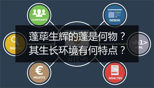 蓬荜生辉的蓬是何物？其生长环境有何特点？