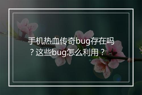 手机热血传奇bug存在吗？这些bug怎么利用？