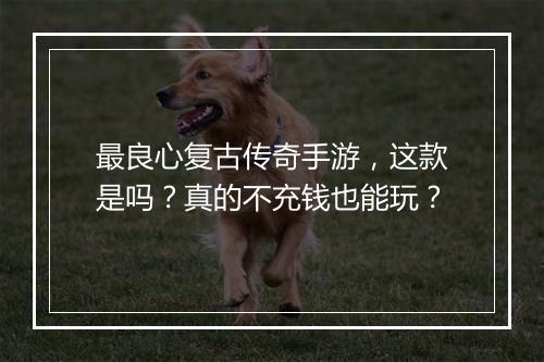最良心复古传奇手游，这款是吗？真的不充钱也能玩？