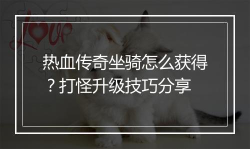 热血传奇坐骑怎么获得？打怪升级技巧分享