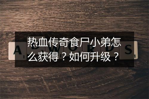热血传奇食尸小弟怎么获得？如何升级？