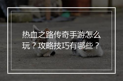 热血之路传奇手游怎么玩？攻略技巧有哪些？