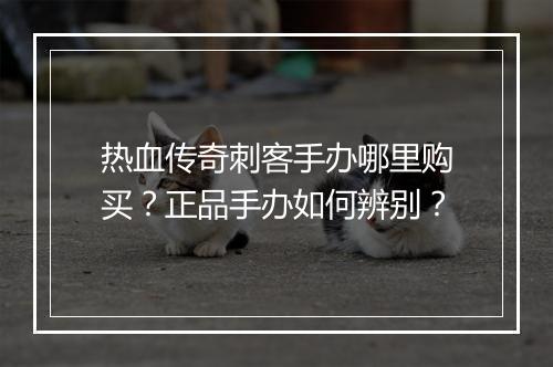 热血传奇刺客手办哪里购买？正品手办如何辨别？