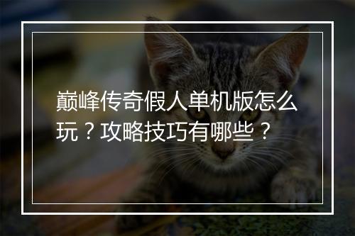 巅峰传奇假人单机版怎么玩？攻略技巧有哪些？