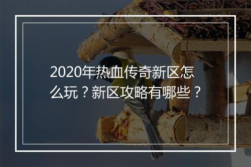 2020年热血传奇新区怎么玩？新区攻略有哪些？