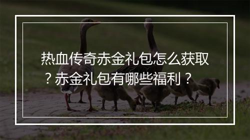 热血传奇赤金礼包怎么获取？赤金礼包有哪些福利？