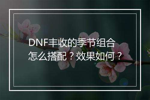 DNF丰收的季节组合怎么搭配？效果如何？