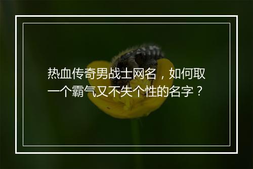 热血传奇男战士网名，如何取一个霸气又不失个性的名字？