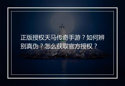 正版授权天马传奇手游？如何辨别真伪？怎么获取官方授权？