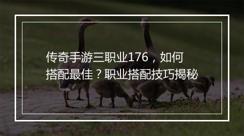 传奇手游三职业176，如何搭配最佳？职业搭配技巧揭秘