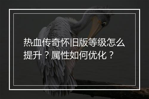 热血传奇怀旧版等级怎么提升？属性如何优化？