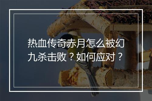 热血传奇赤月怎么被幻九杀击败？如何应对？
