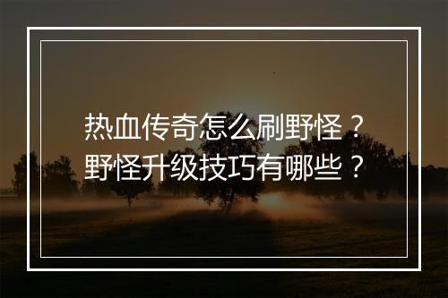 热血传奇怎么刷野怪？野怪升级技巧有哪些？