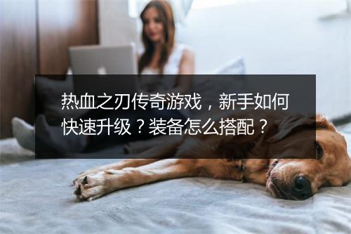 热血之刃传奇游戏，新手如何快速升级？装备怎么搭配？