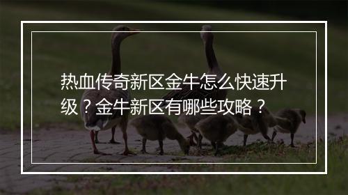热血传奇新区金牛怎么快速升级？金牛新区有哪些攻略？