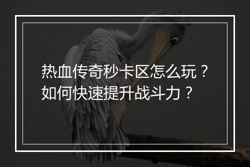 热血传奇秒卡区怎么玩？如何快速提升战斗力？