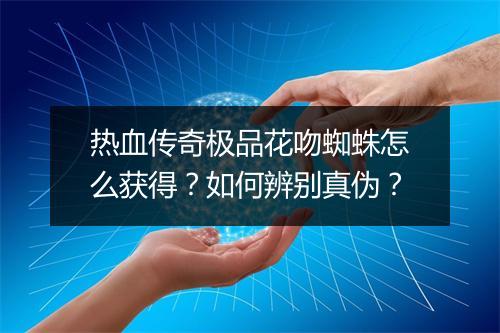 热血传奇极品花吻蜘蛛怎么获得？如何辨别真伪？