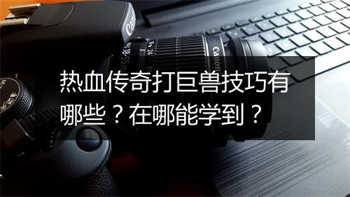 热血传奇打巨兽技巧有哪些？在哪能学到？