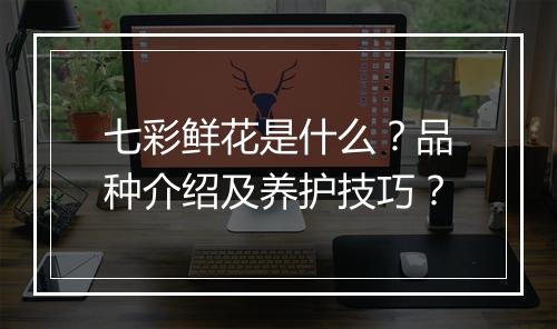 七彩鲜花是什么？品种介绍及养护技巧？