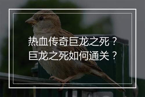 热血传奇巨龙之死？巨龙之死如何通关？
