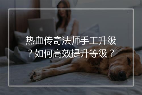 热血传奇法师手工升级？如何高效提升等级？