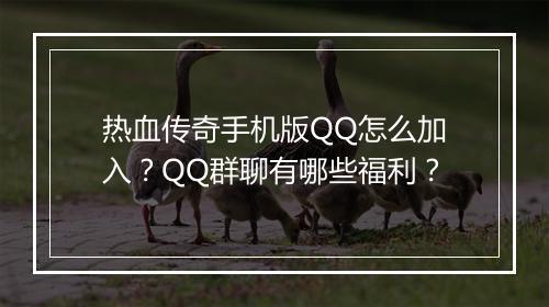热血传奇手机版QQ怎么加入？QQ群聊有哪些福利？